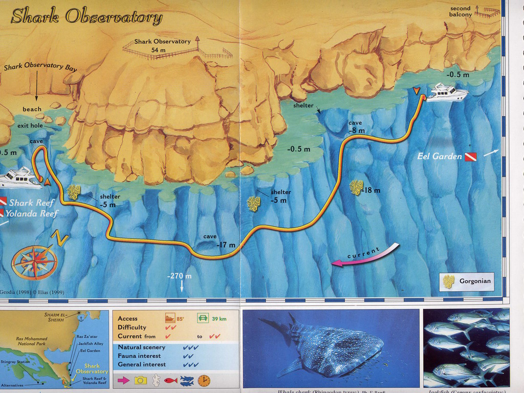 Карта рифов шарм эль шейха